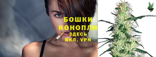 крисы Медвежьегорск