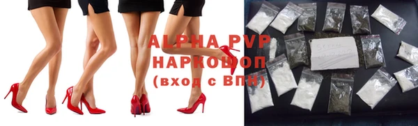 спиды Алзамай