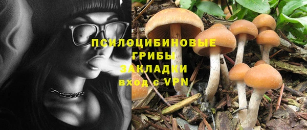 Альфа ПВП Алексеевка