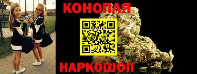 крисы Гудермес