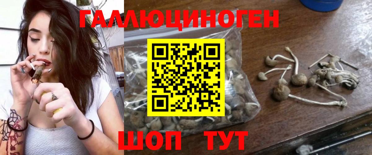 Галлюциногенные грибы Cubensis Ачинск